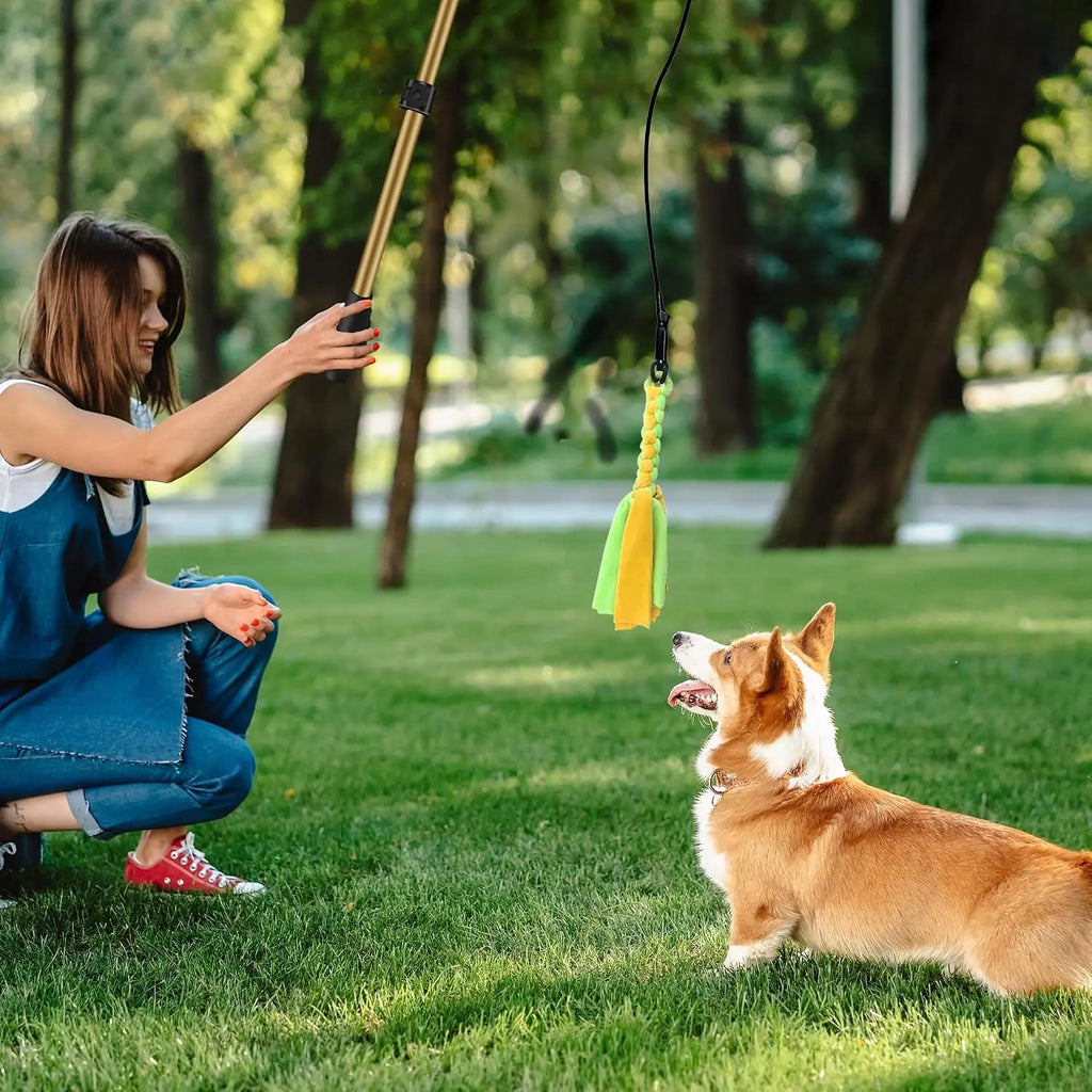 GRETMIX Pro Dog Flirt Pole – 2 Squeaky Plush & 5-Rope Toy Set