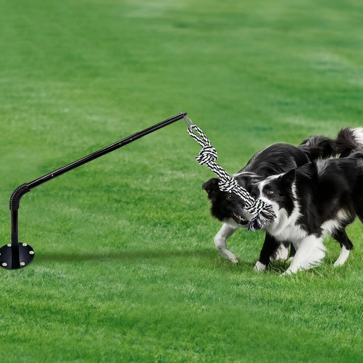 GRETMIX Interactive Tether Tug Dog Toy for Outdoor Play