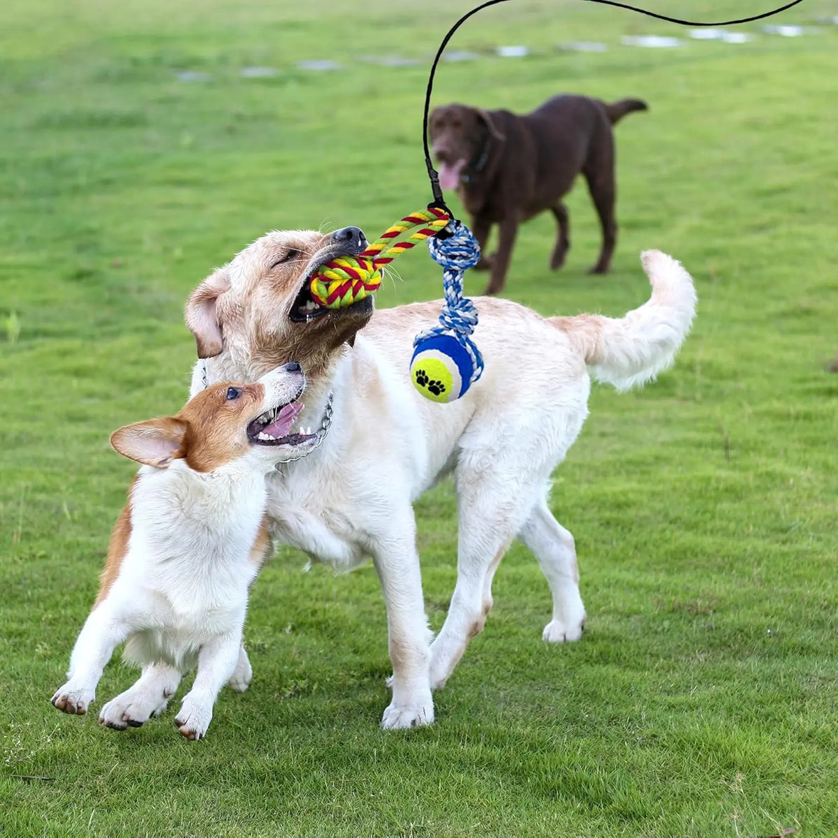 GRETMIX Pro Dog Flirt Pole – Squeaky Plush & 7-Rope Toy Set